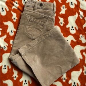 BCBGeneration Cord pants size 0